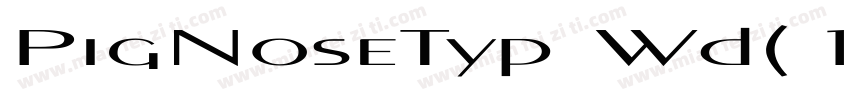 PigNoseTyp Wd(1)字体转换